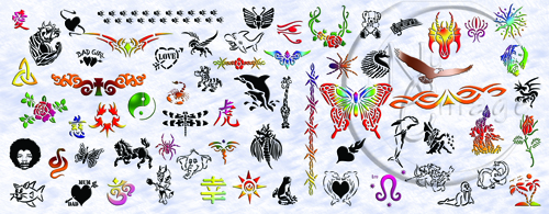 Sandra Larson Design